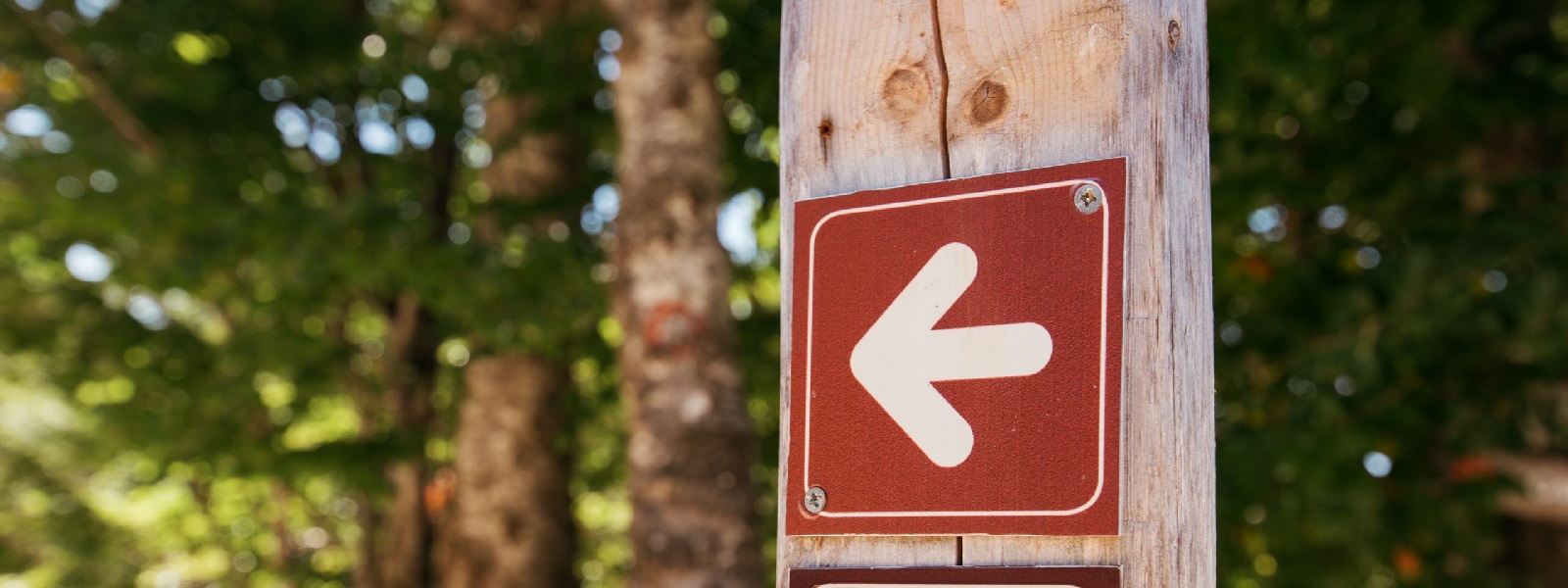 ¿Consultas o Solicitudes?